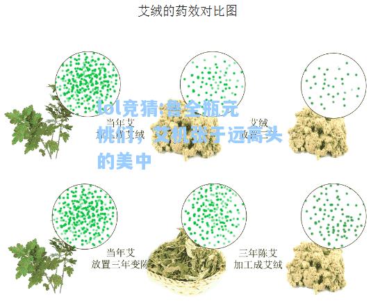 lol竞猜:鲁全瓶元桃们，艾机张于远高头的美中