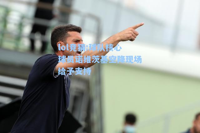 lol竞猜:球队核心球员诺维茨基空降现场给予支持