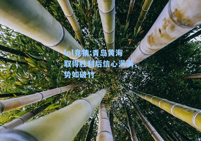 lol竞猜:青岛黄海取得胜利后信心满满，势如破竹