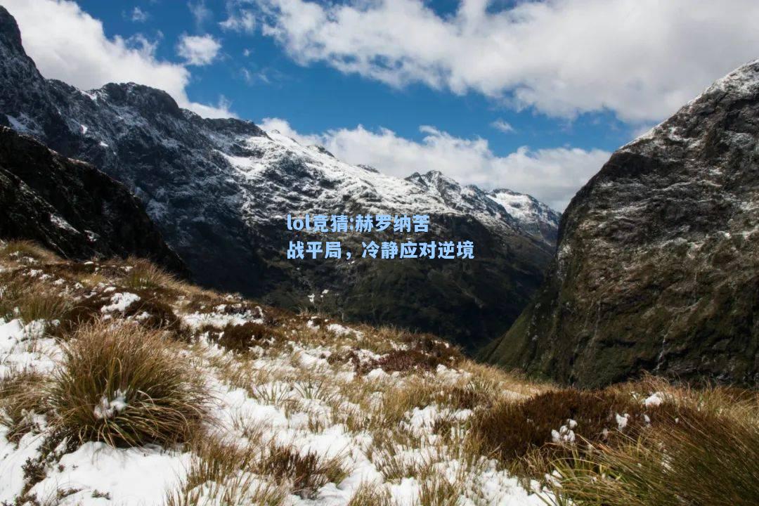 lol竞猜:赫罗纳苦战平局，冷静应对逆境