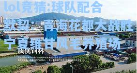 lol竞猜:球队配合默契：青海花都大战胜宁夏维甘风毛养殖场