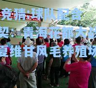 lol竞猜:球队配合默契：青海花都大战胜宁夏维甘风毛养殖场